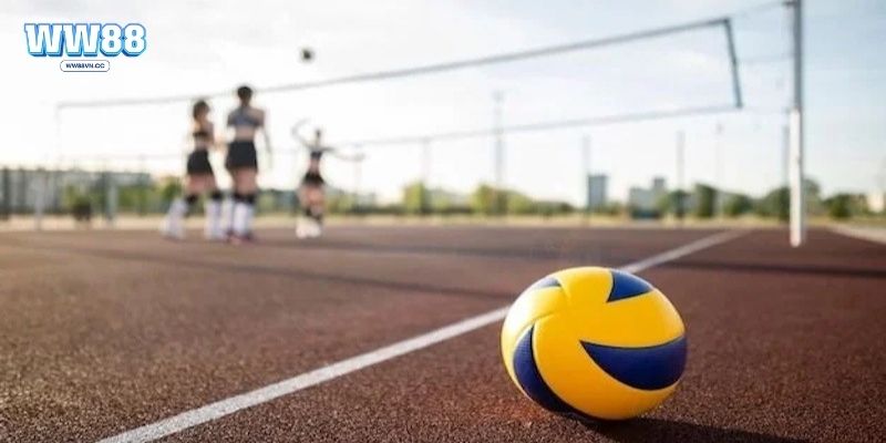 Bật mí vài kinh nghiệm chơi kèo bóng chuyền hiệu quả