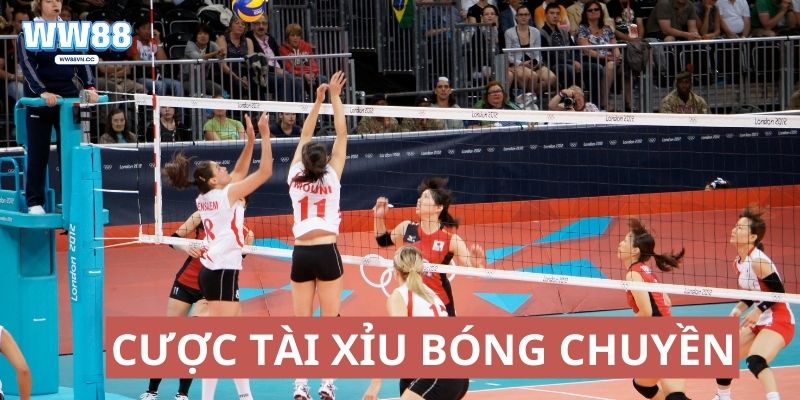 Cược tài xỉu bóng chuyền là dự đoán tổng số điểm của từng set