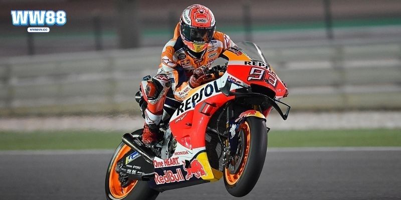 Các loại hình hấp dẫn