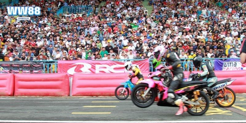 Khái quát cá cược đua xe