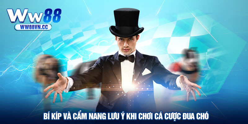 Bí kíp và cẩm nang lưu ý khi chơi cá cược đua chó