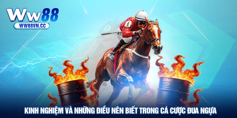 Kinh nghiệm và những điều cần biết trong cá cược đua ngựa
